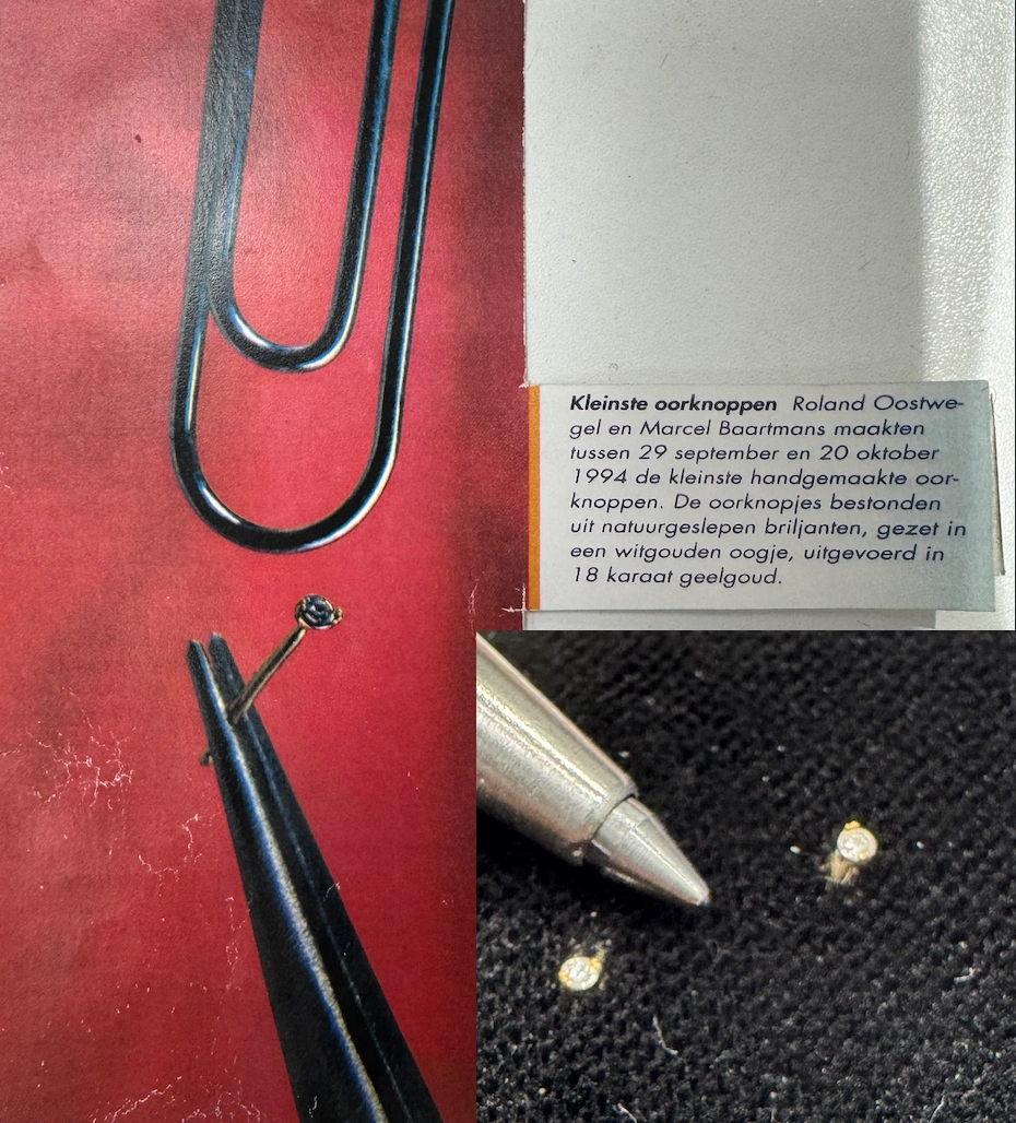 Guinness Book of Records vermelding Roland Oostwegel